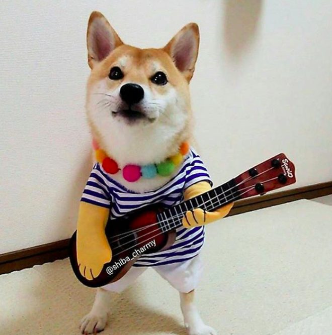 d8beffb5da7e7dd4824f.png