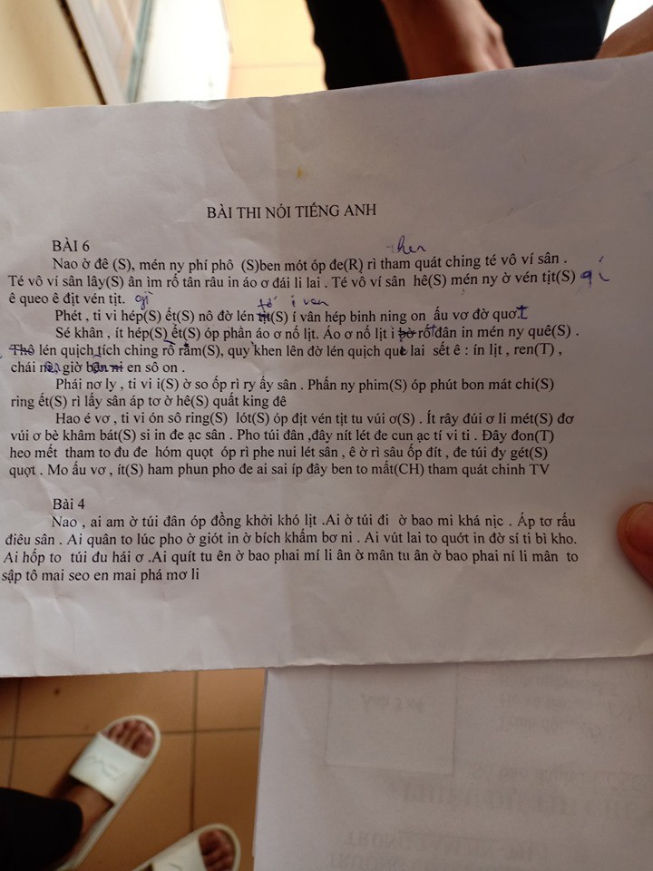 d8c2d54eaa46db01ca00.jpg