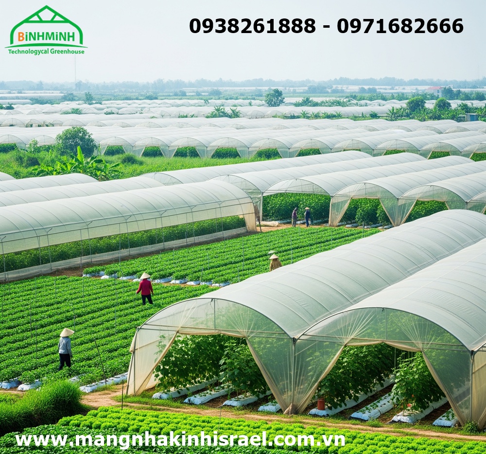 d8d2abac0621cf2cbe14.jpg
