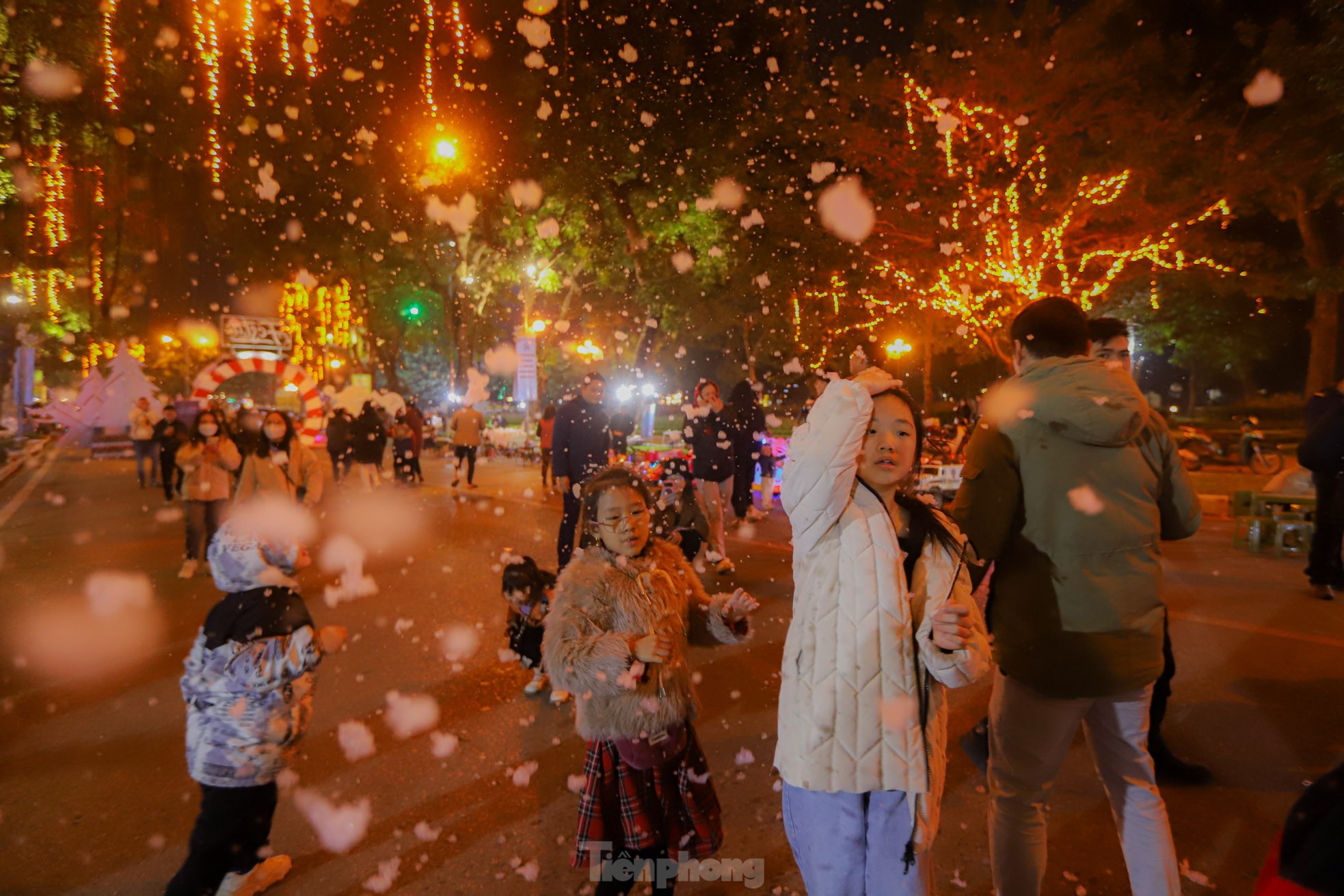 d8d5604df8859819f5cd.jpg
