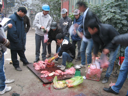d8de50c397cc329d2a03.jpg