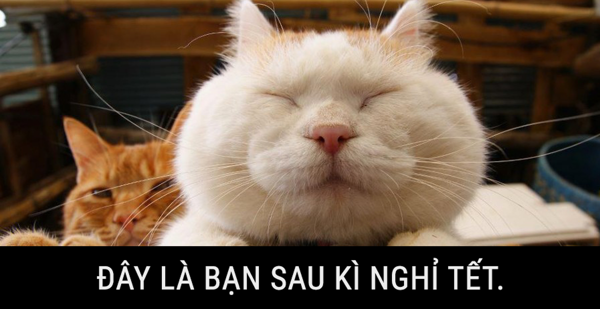 d8e62501289dadc002a5.png
