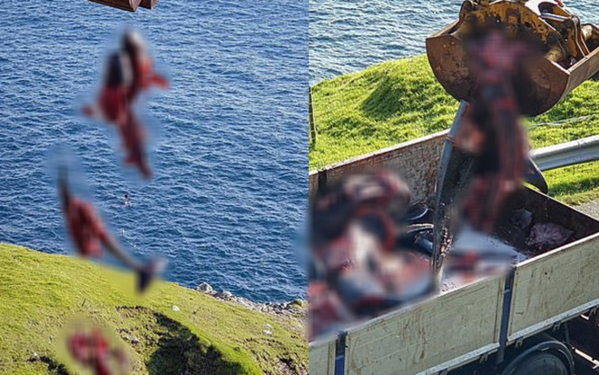 d8ef1fb2034c726a757c.png