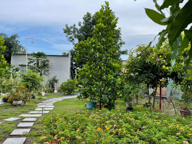 d8f355de1644ec317cbc.jpg