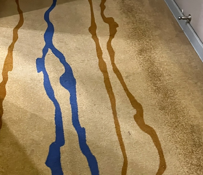 d8f46d6bfabed2a48e37.jpg