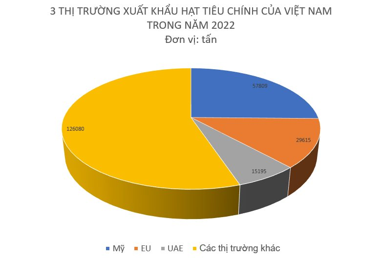 d902a9760d8e5b69baec.png