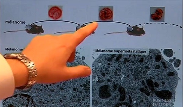 d911e672ee73ea1d87a1.jpg