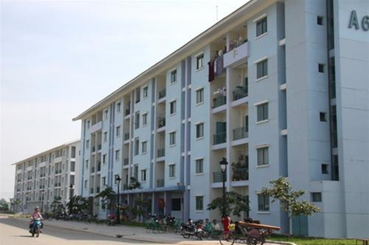 d91419d96aee4198de1d.jpg