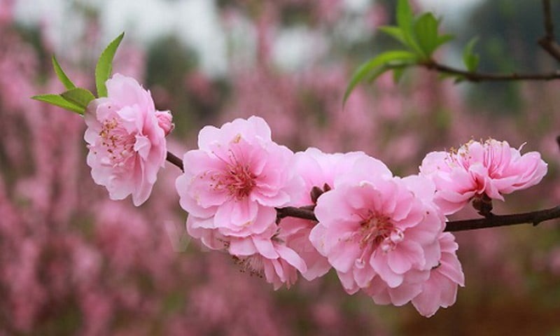 d920114567eb655e71b4.jpg