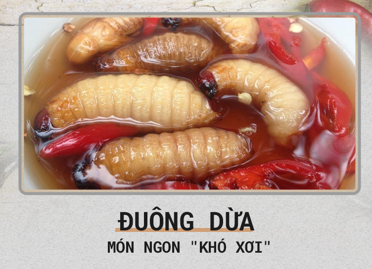 d94532c3f4fc470b9ecb.png