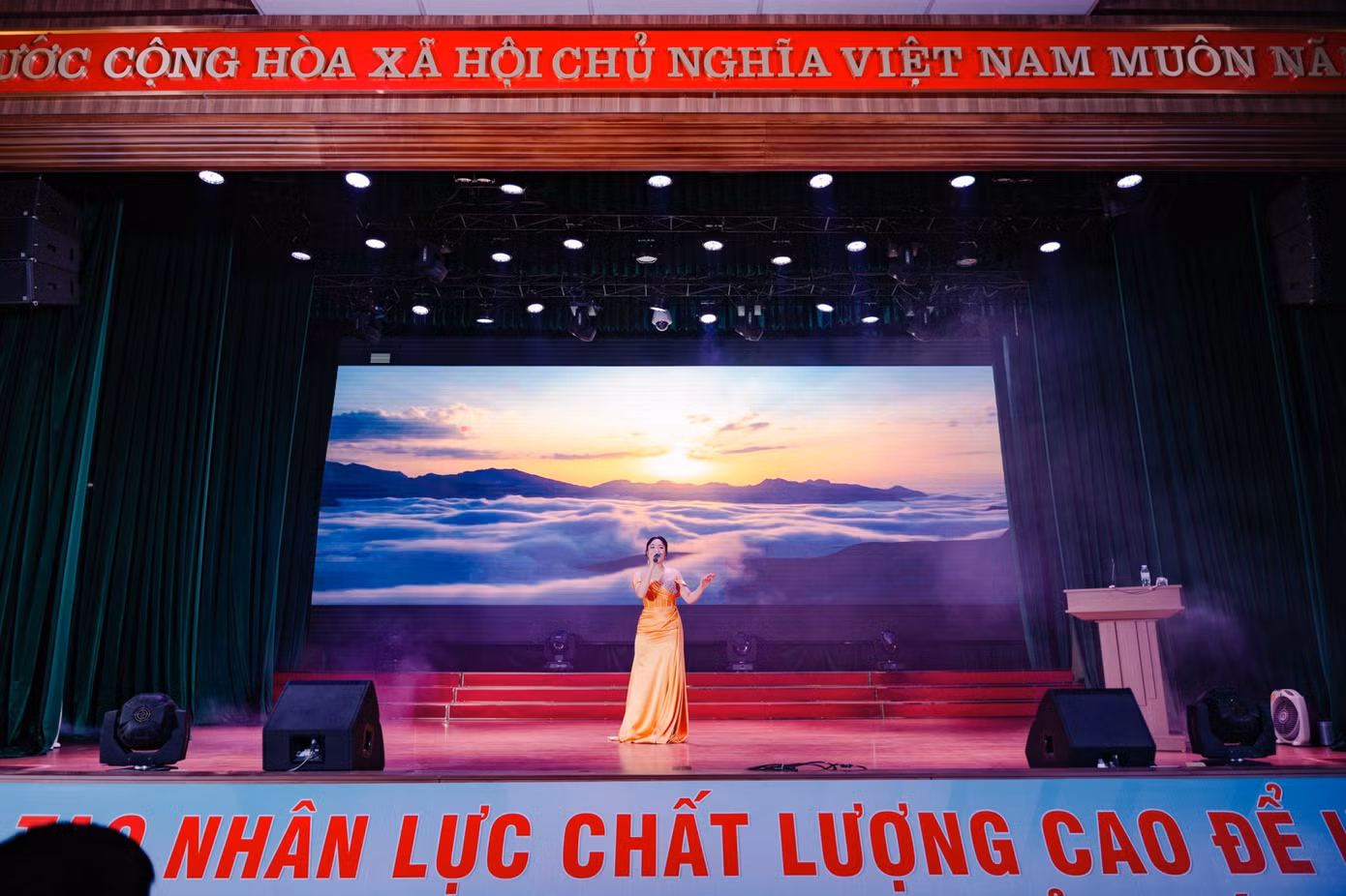 d965980a4930dae47efe.jpg