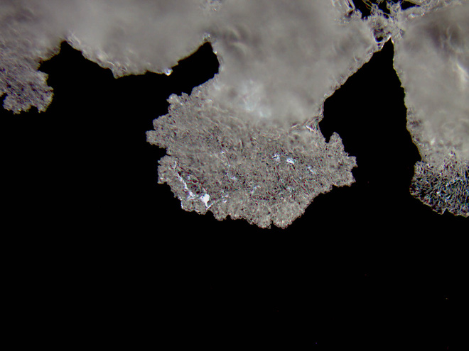 d9e262a4ac4163f852c6.jpg