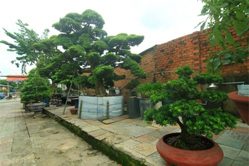 d9ead12f981296146db9.jpg