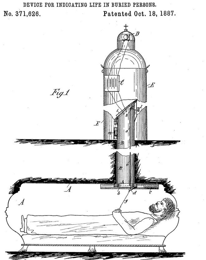 d9ef4a8e552cb33474d7.jpg