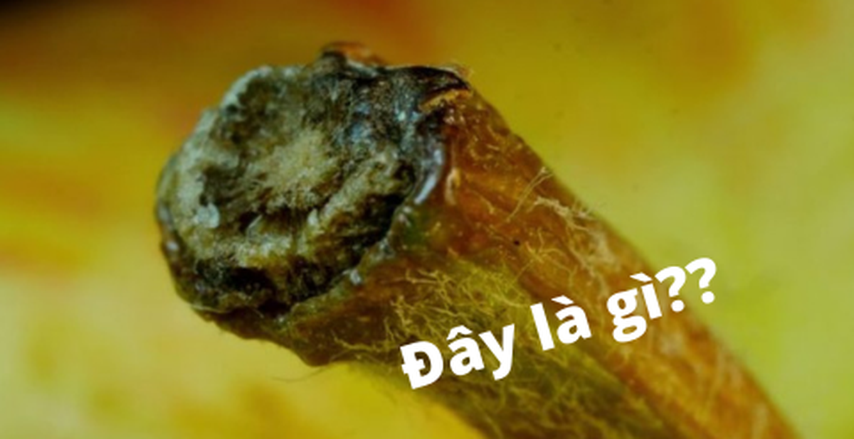 da5052c9e090b682ed24.png