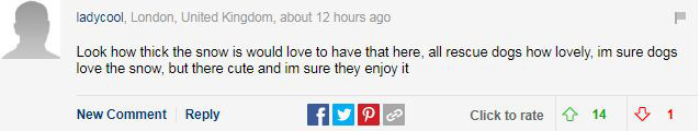 da5376aa46b8018ffc1a.jpg
