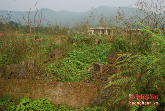 da6347184fceed3410d9.jpg