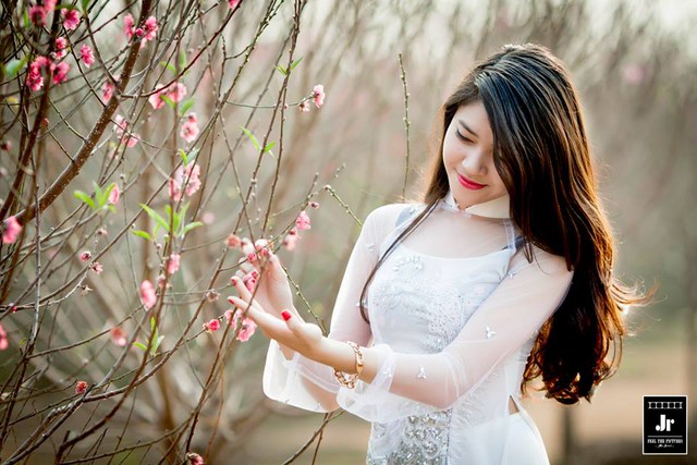 da8605a559fc507e1c6b.jpg