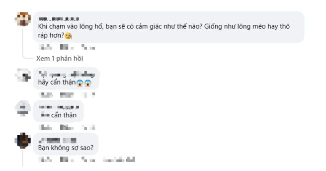 db381a25b8a05f1eed4b.jpg