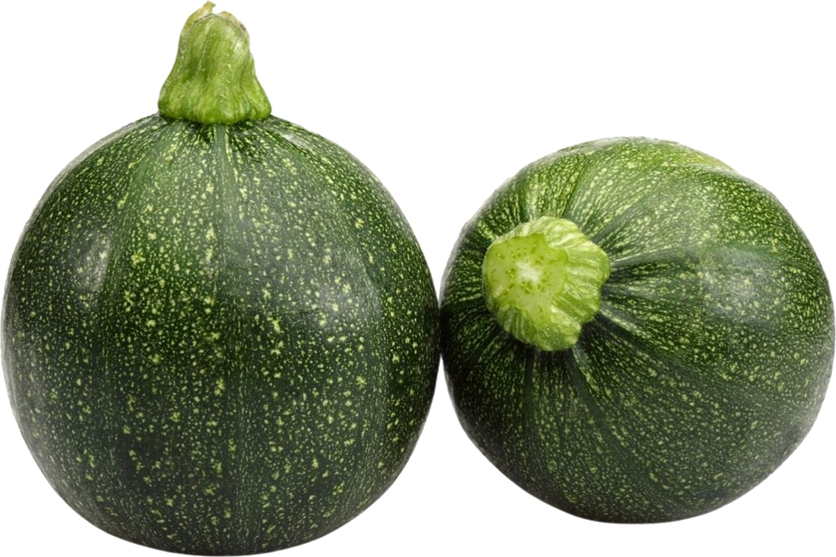 db747881d09f5976746d.png