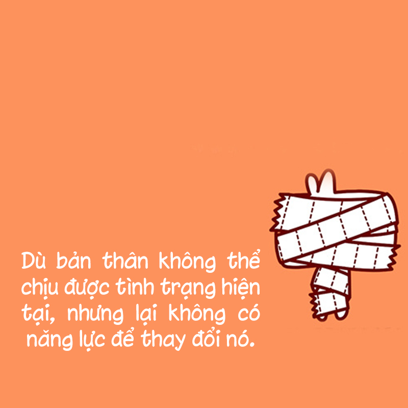 dba7c19db465dd40f85a.jpg