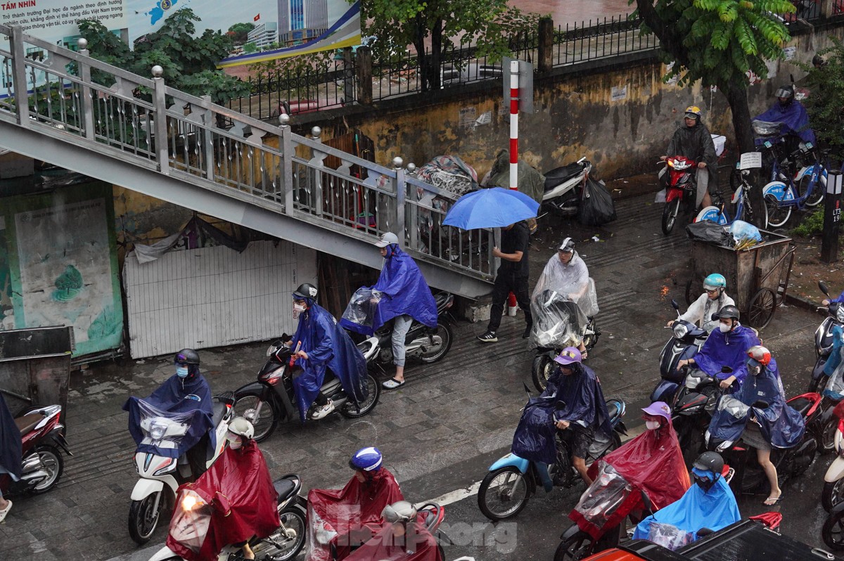 dbb2c8dd9adf166ead9a.jpg