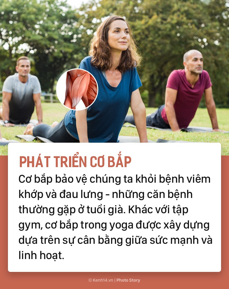 dbc58cad4fc6e207b78c.jpg