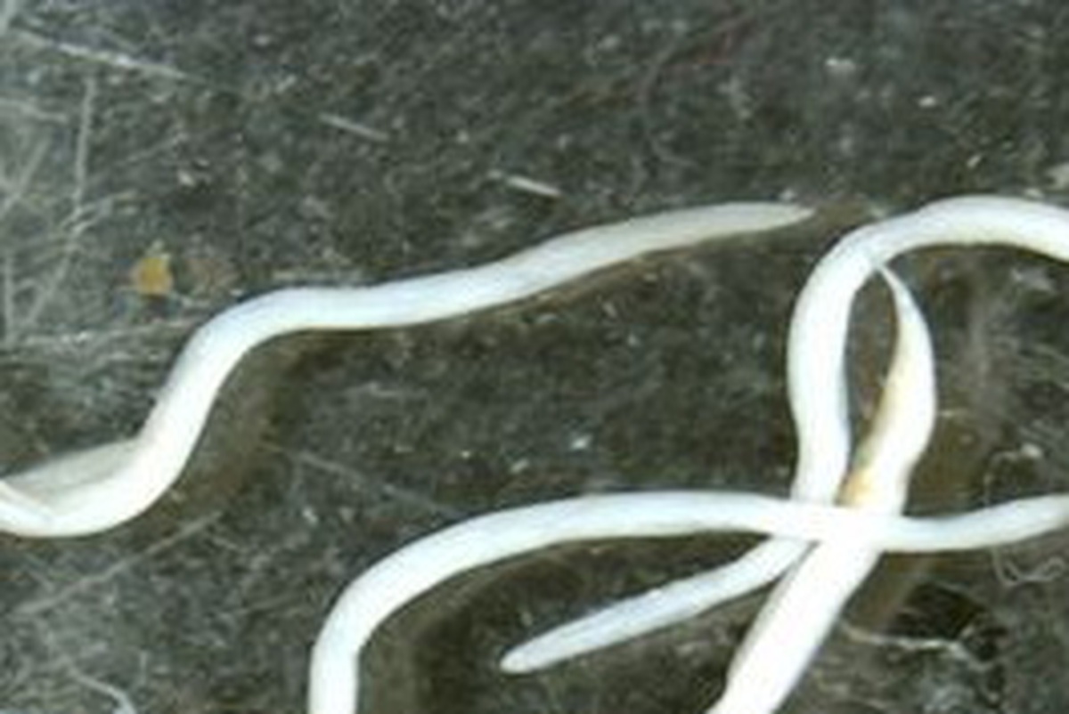 dbd982e671a30f16ea7f.jpg