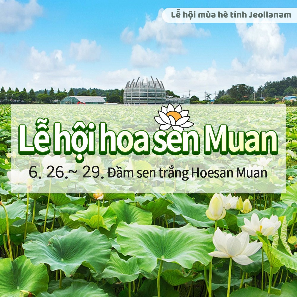 Mùa hè Jeollanam đỉnh của chóp - Lễ hội hoa sen Muan đẹp phát sốt!