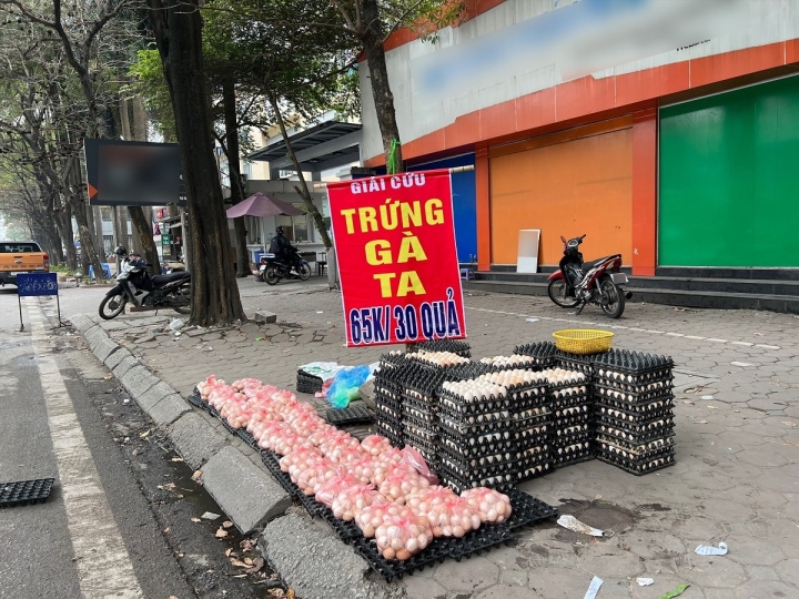 dc28e5f741511418d979.jpg