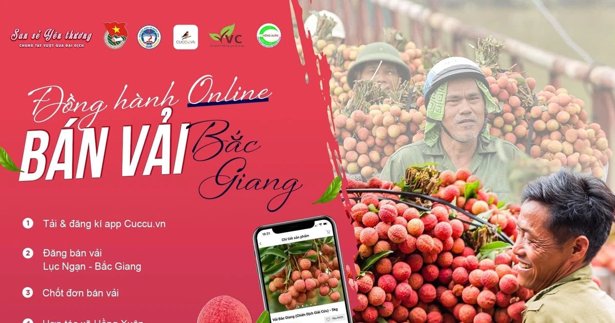 Chung tay bán vải Bắc Giang online - Vừa giúp bà con, vừa góp quỹ chống dịch cực ý nghĩa!