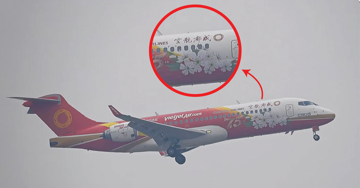 dca29d481ccf8f9cd5f2.png