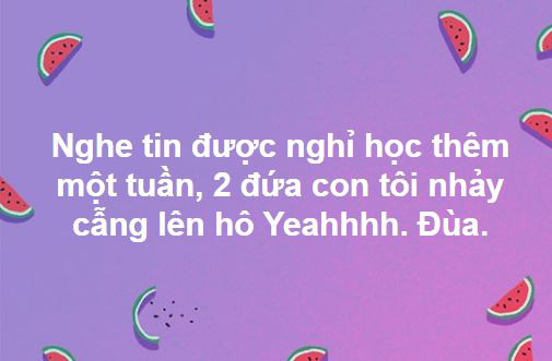 dce326be685967d441c2.jpg
