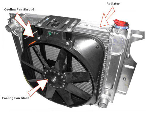 dd06874eaa5bbcaf692d.png