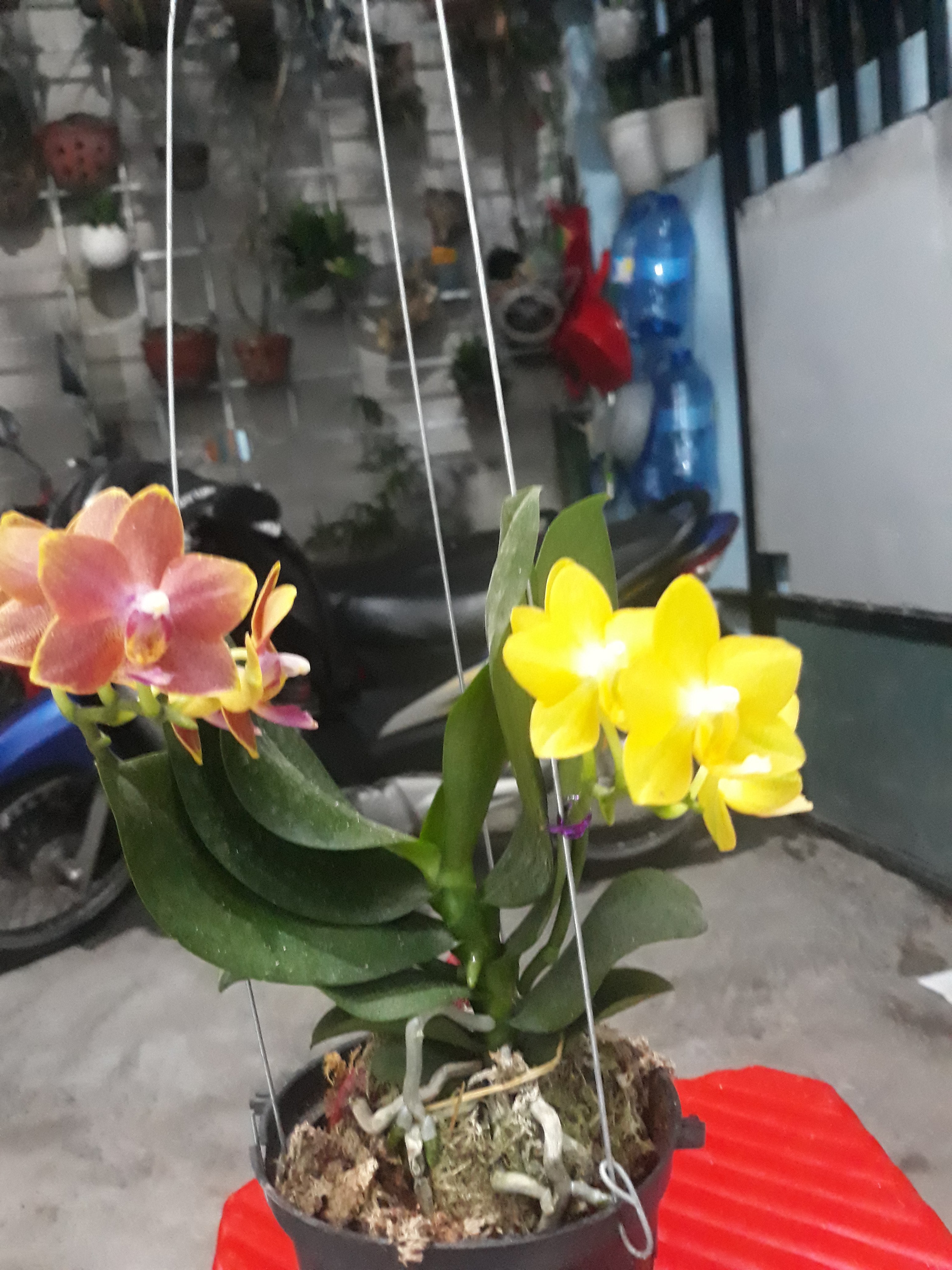 dd12fc5f30a8adab698a.jpg