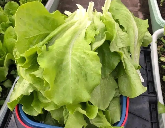 dd2d1c59d54553c6a771.jpg