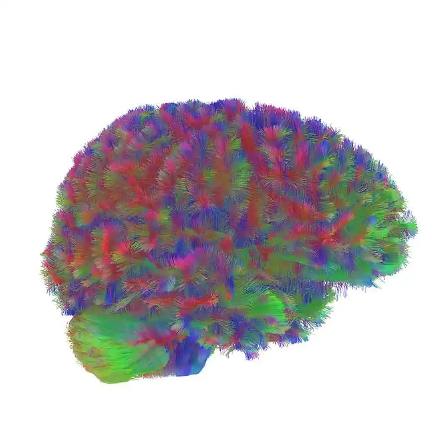 dd3378e262a1d9df2b2d.jpg