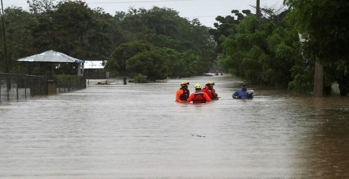 dd342555436986b33f42.jpg