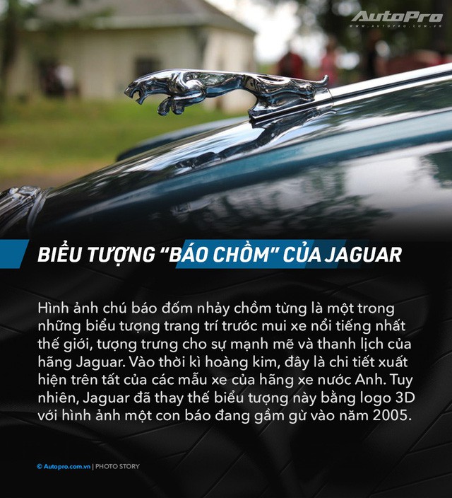 dd70fb5fd774311c4a76.jpg