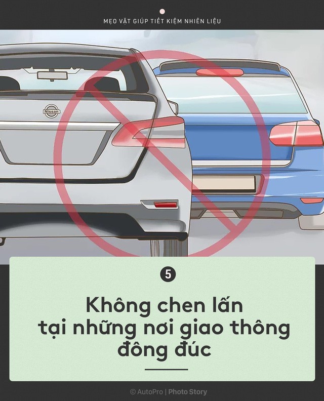 dd7d37bfe24320dc9f85.jpg