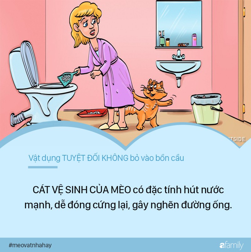 dd82b87429bb423e7fb3.jpg