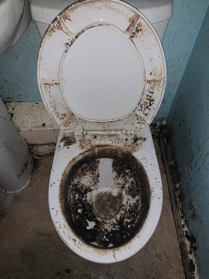 dd8d2c8c89f3a31929f1.jpg