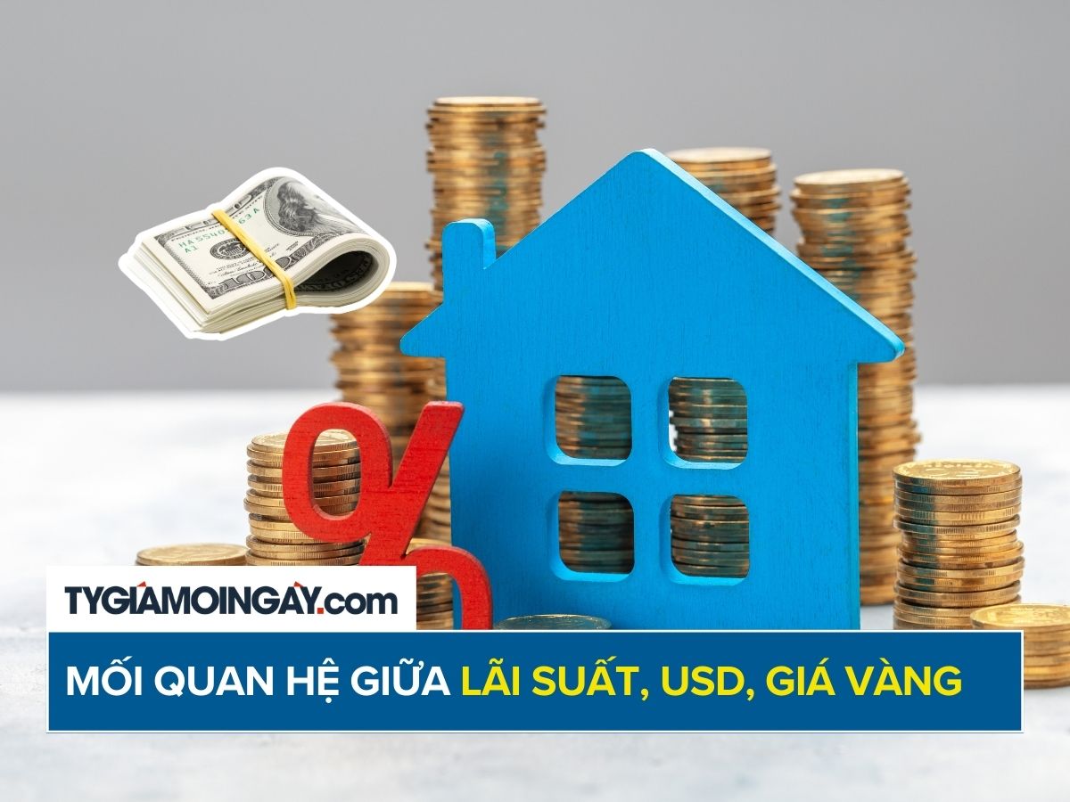 ddb1cb66aca55de0e782.jpg