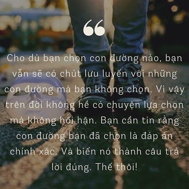 de4fd89a3231ed239fb7.jpg