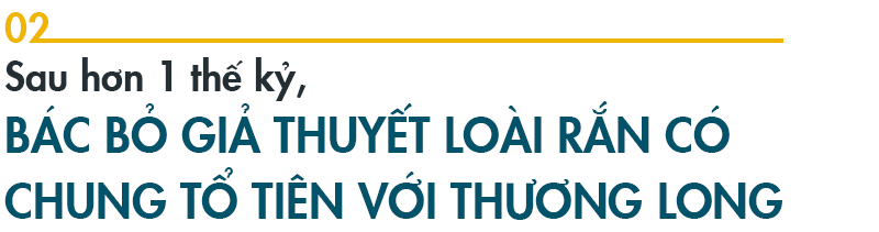 de5a185699fc7682a145.png