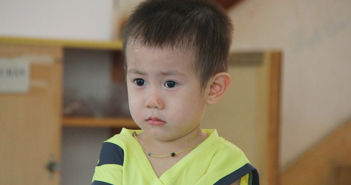 de5d0251a20b50a11938.jpg