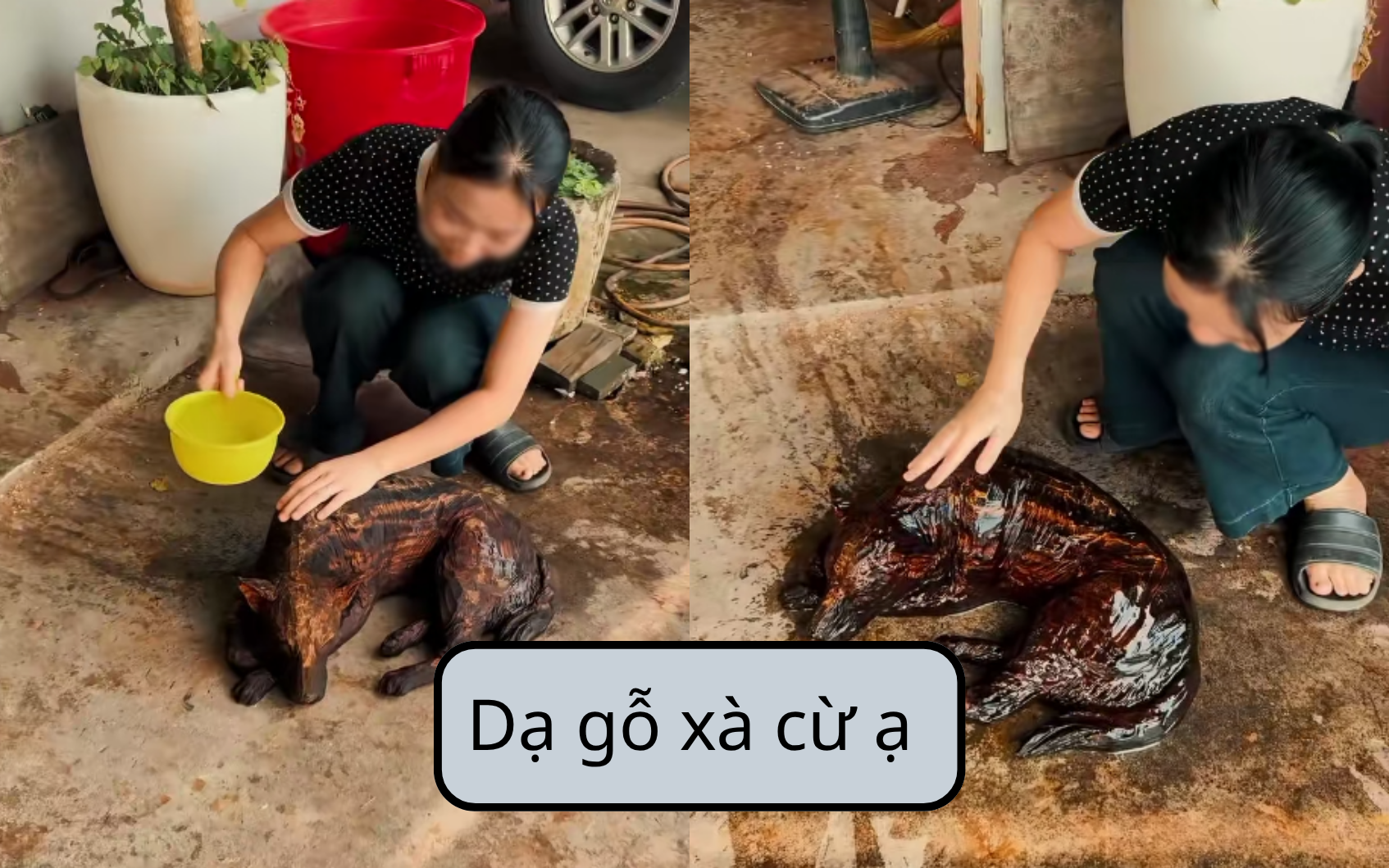 de6fb021eff55d103421.png