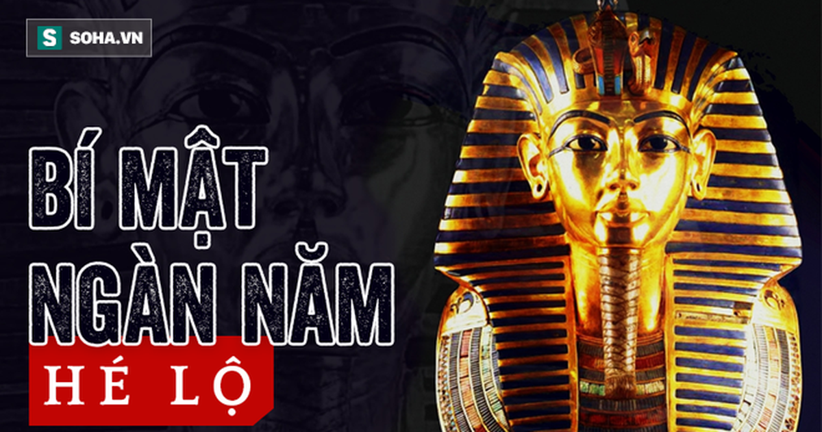 de7d57bf0e2315a75476.png