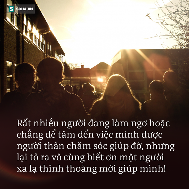 de973efb5bf4264bbc8e.png