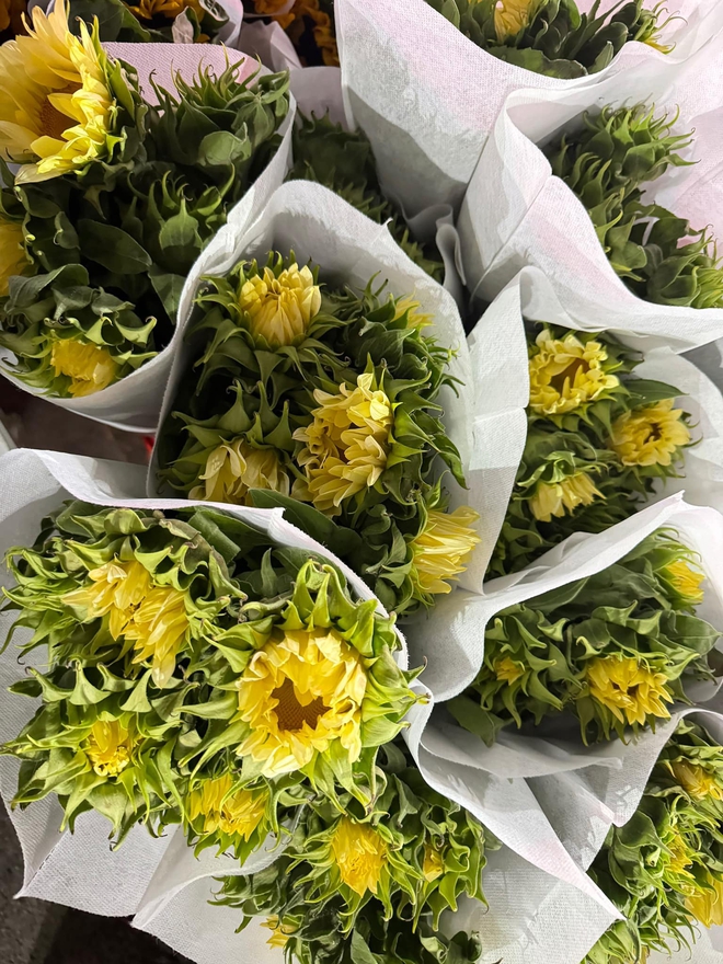 deebc2a480f173bf1ff1.jpg